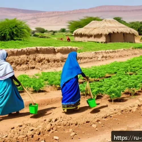 소말릴란드에서 자주 쓰이는 격언 - A vibrant village scene in Somaliland during a communal agricultural activity, showing diverse villa...